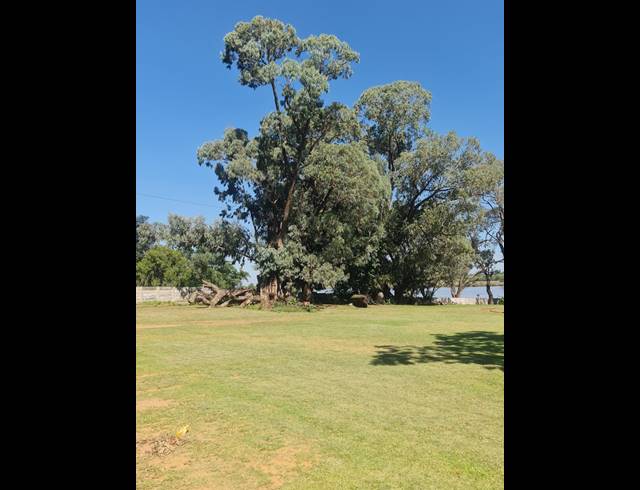 2HA FARM FOR SALE IN KAALPLAATS